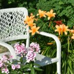 13 vrsta prolećnog koje će zašareniti balkon i baštu već u martu: Dobro podnose mraz, neke vrste traju godinama