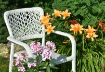 13 vrsta prolećnog koje će zašareniti balkon i baštu već u martu: Dobro podnose mraz, neke vrste traju godinama